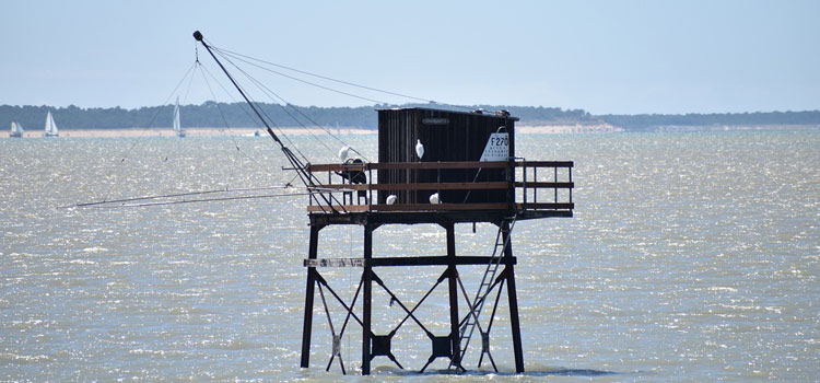 Visiter l'île Madame en Charente-Maritime